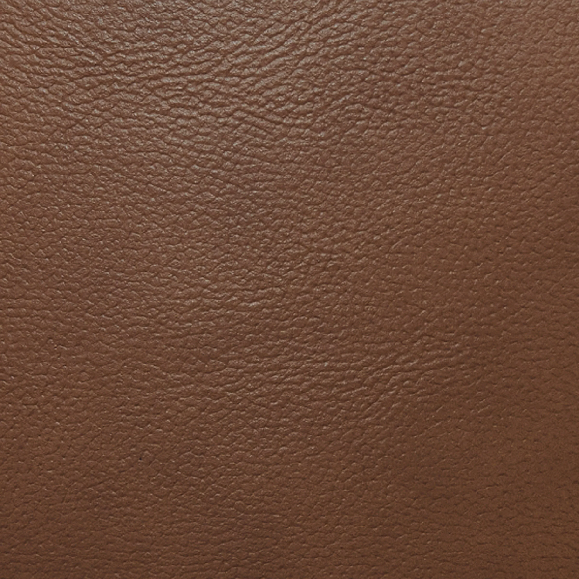 Carter Ottoman - Image 3