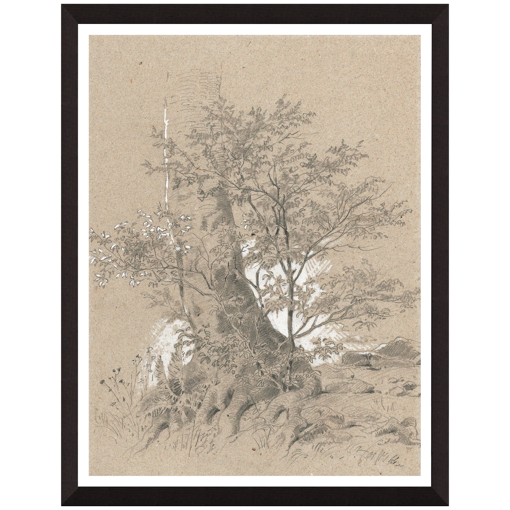 Creek In Forest Wall Art