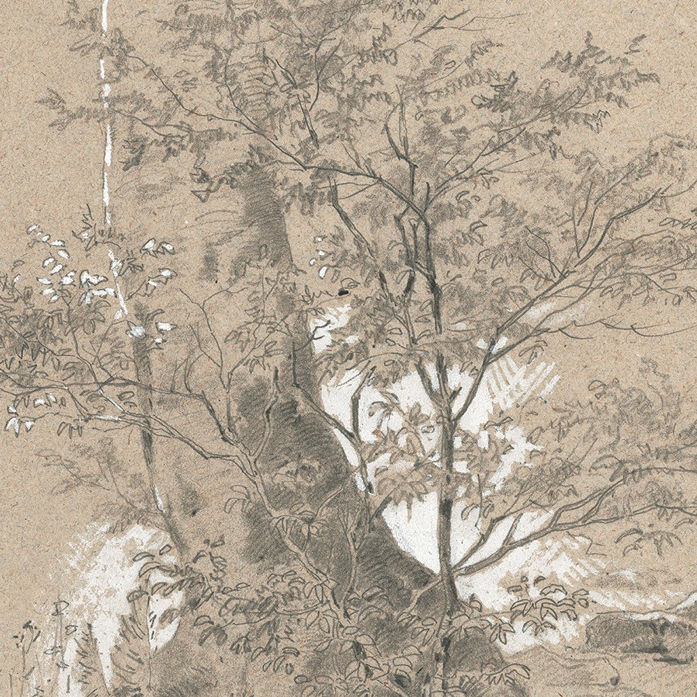 Creek In Forest Wall Art - Image 5