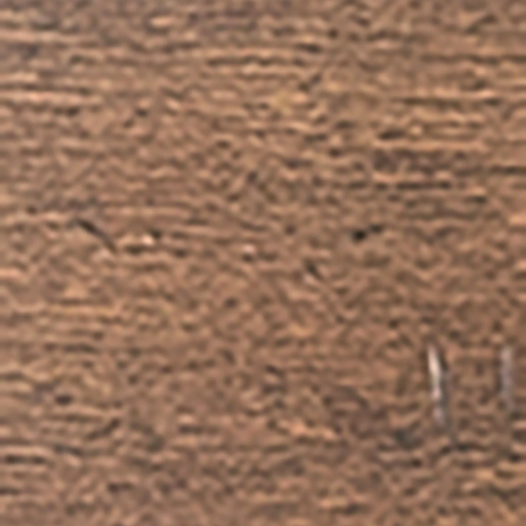 District 5 Piece Dining Set - Image 7