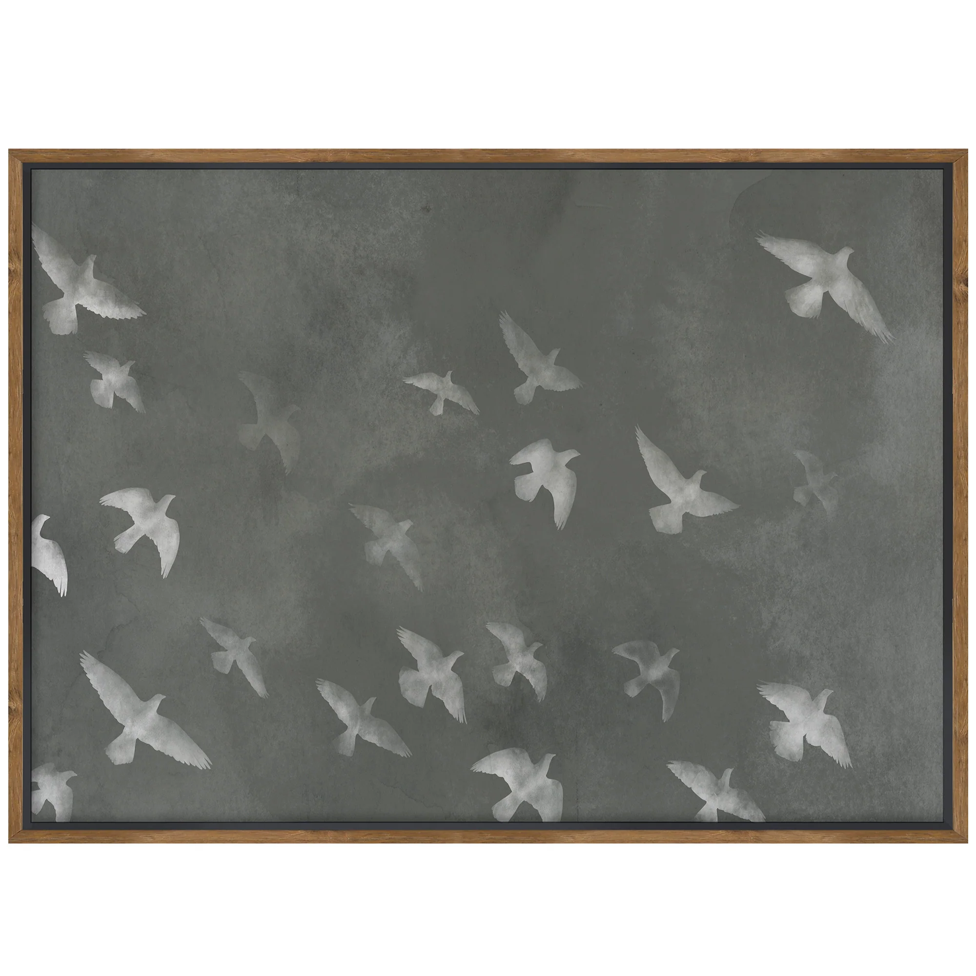 Fly Wall Art