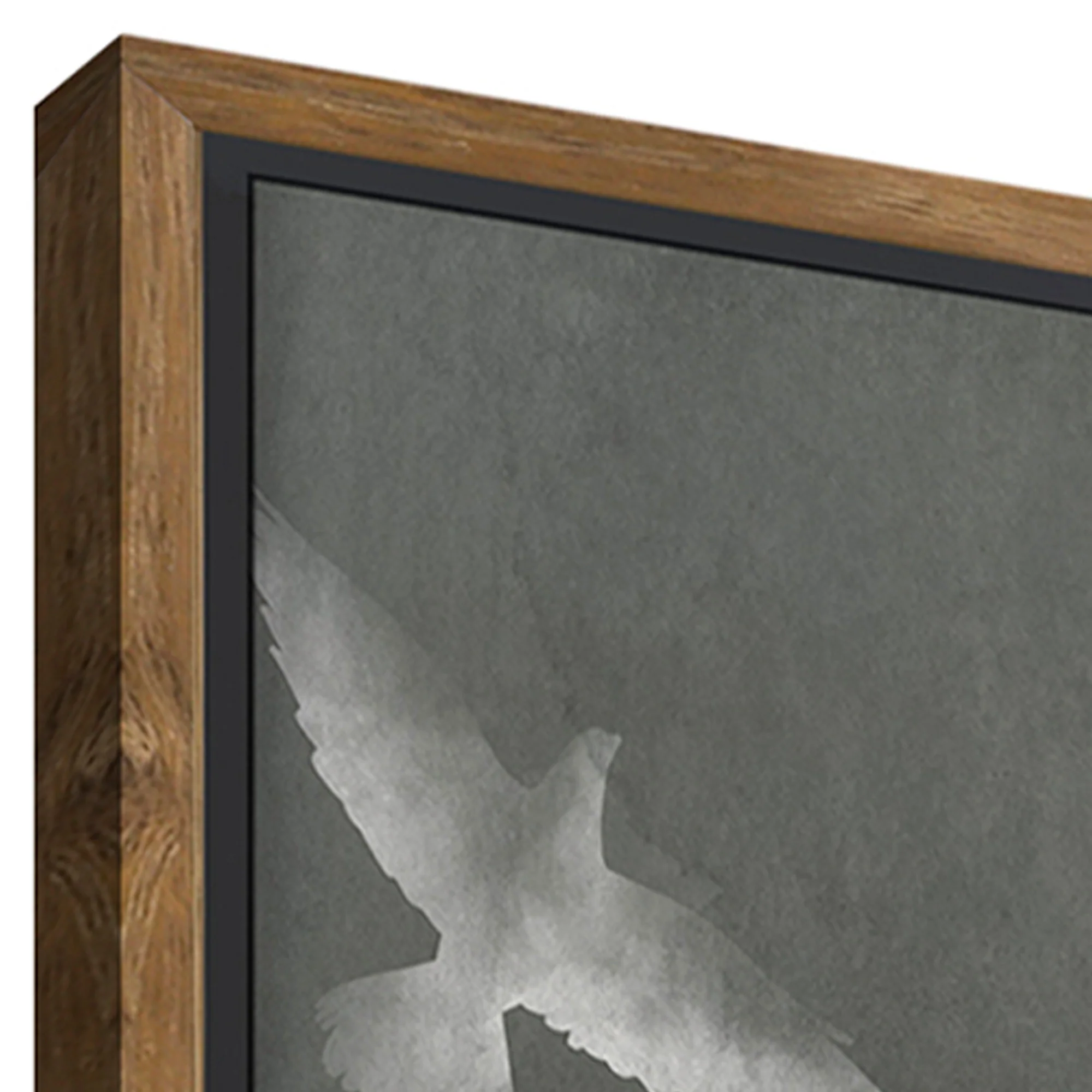Fly Wall Art - Image 4