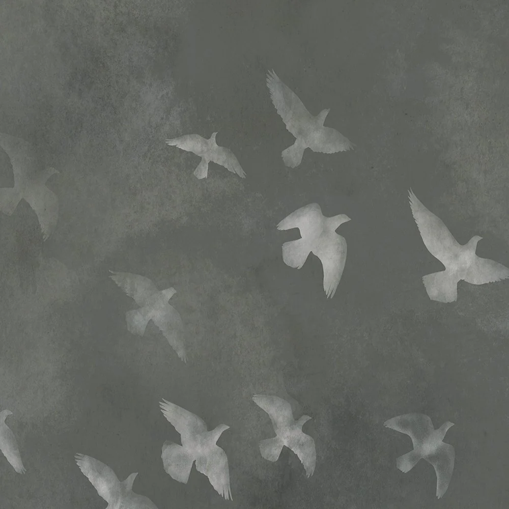 Fly Wall Art - Image 5