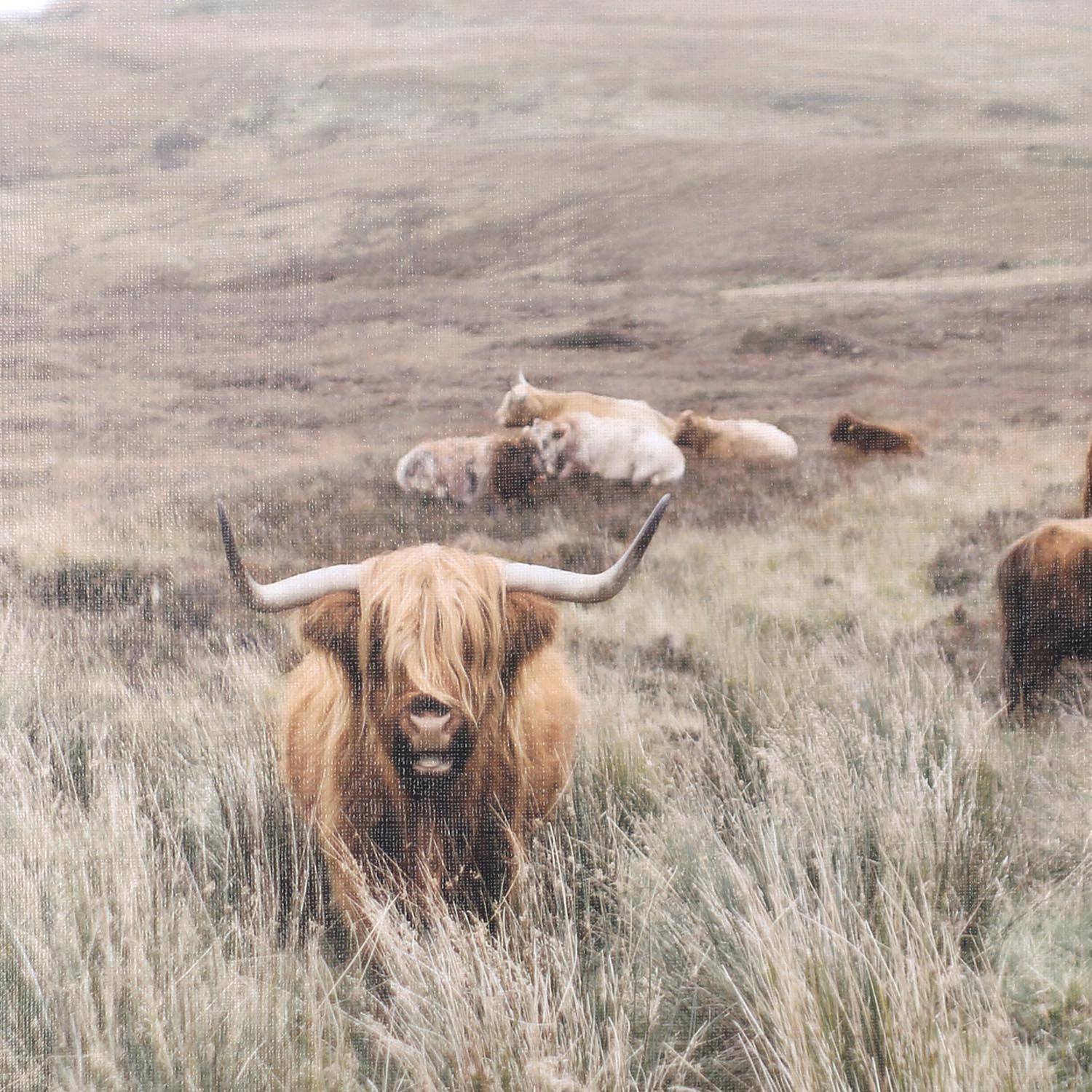Herd Wall Art - Image 2