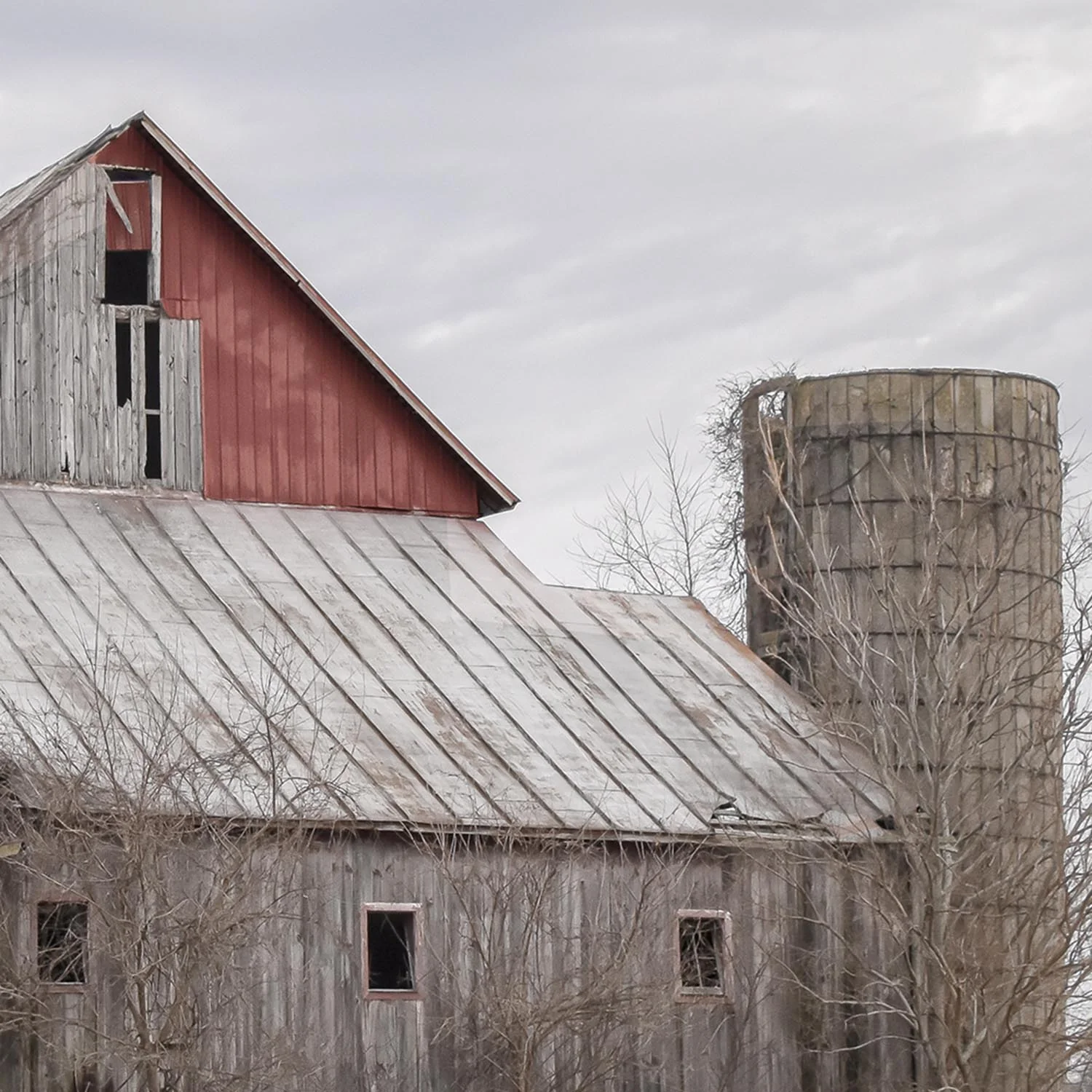 Huge Barn Wall Art - Image 2