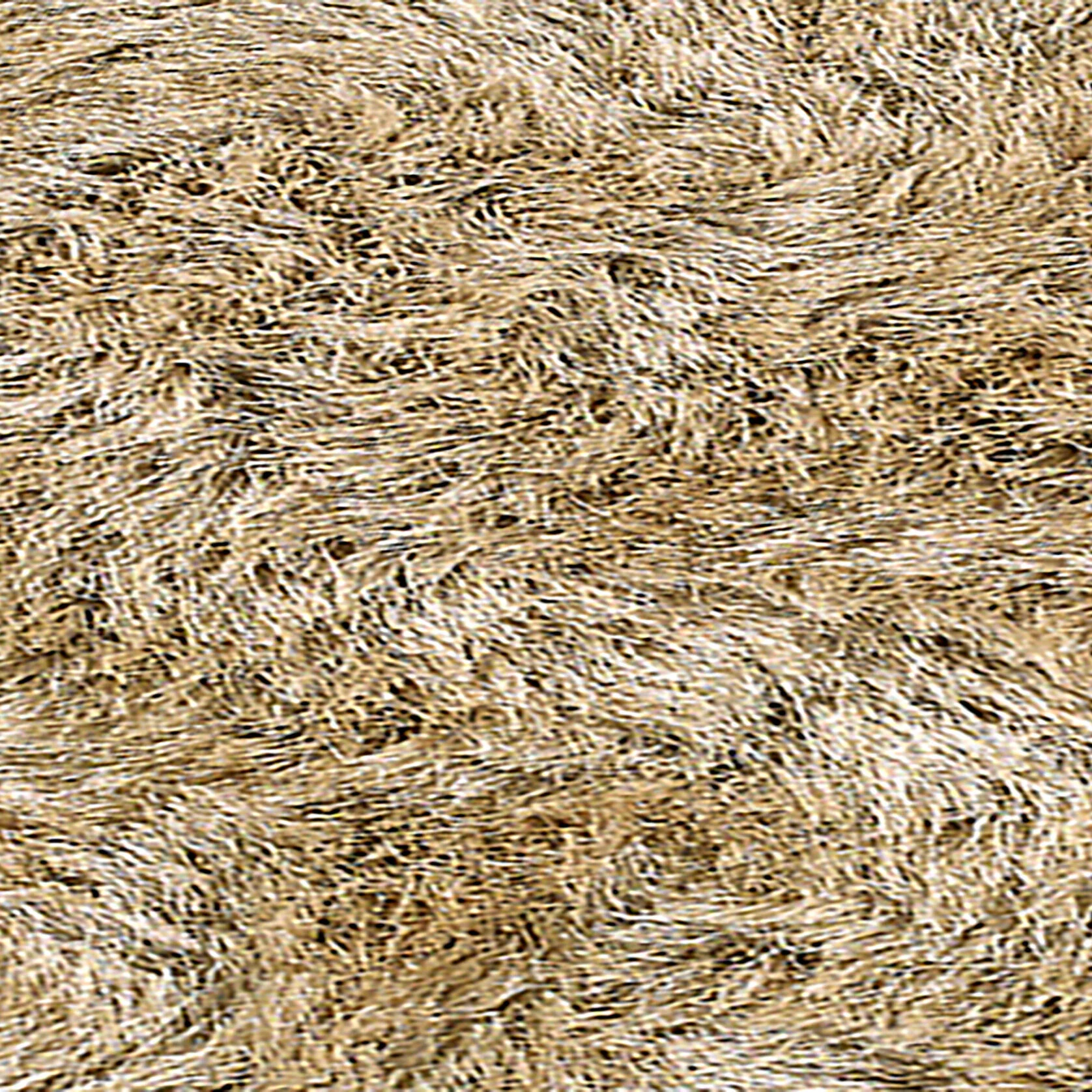 Impact Rug - Image 34