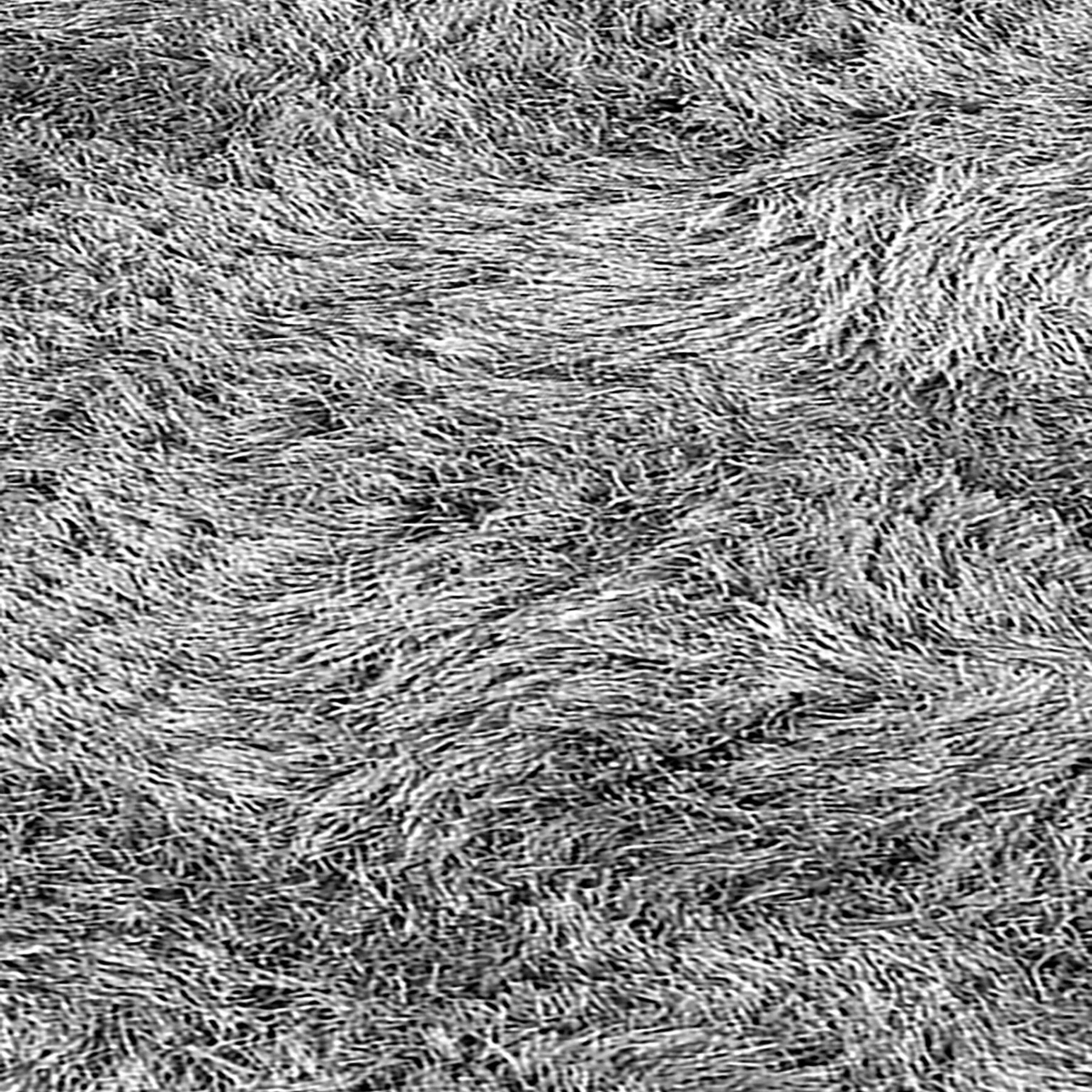 Impact Rug - Image 44