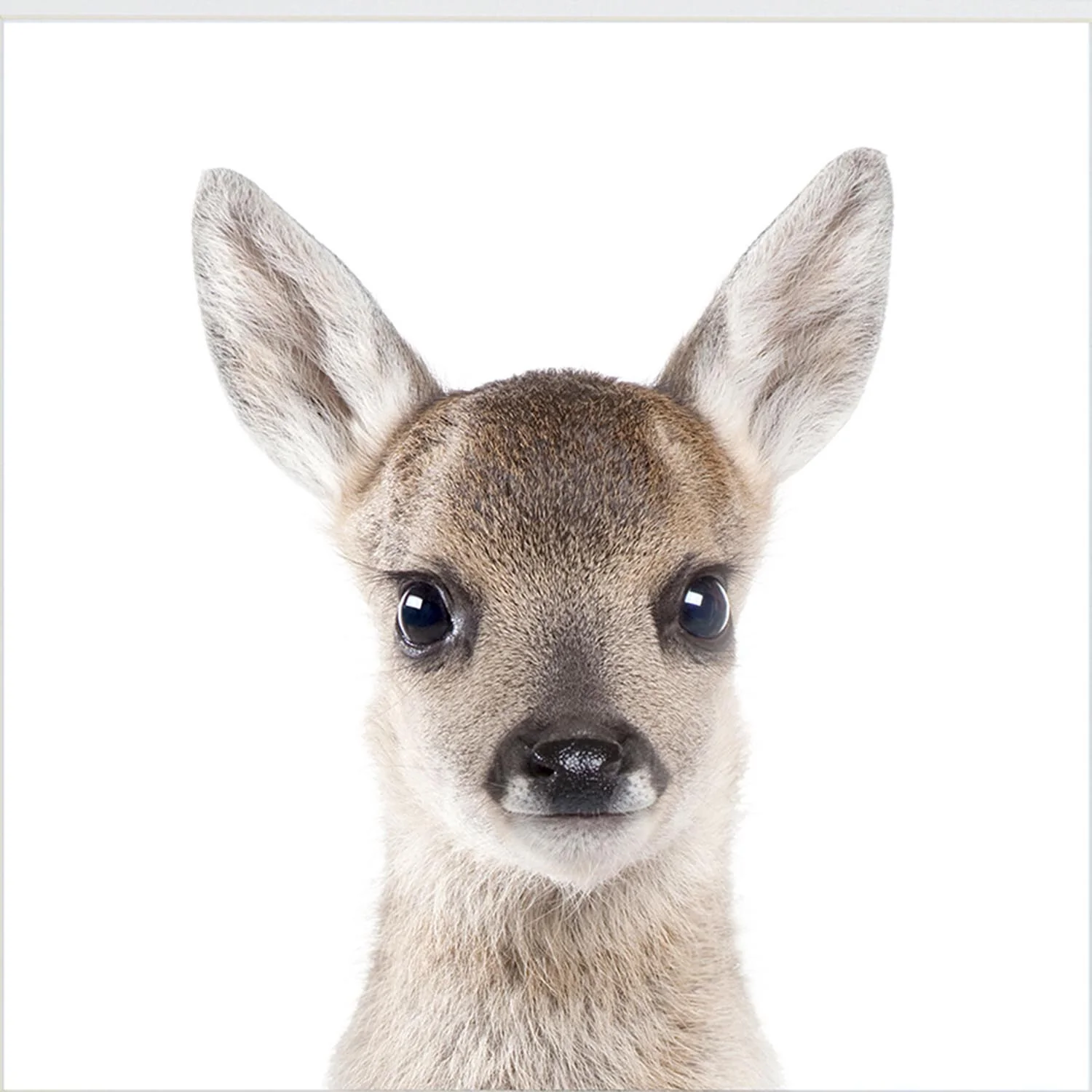Kids Deer Face Wall Art - Image 2