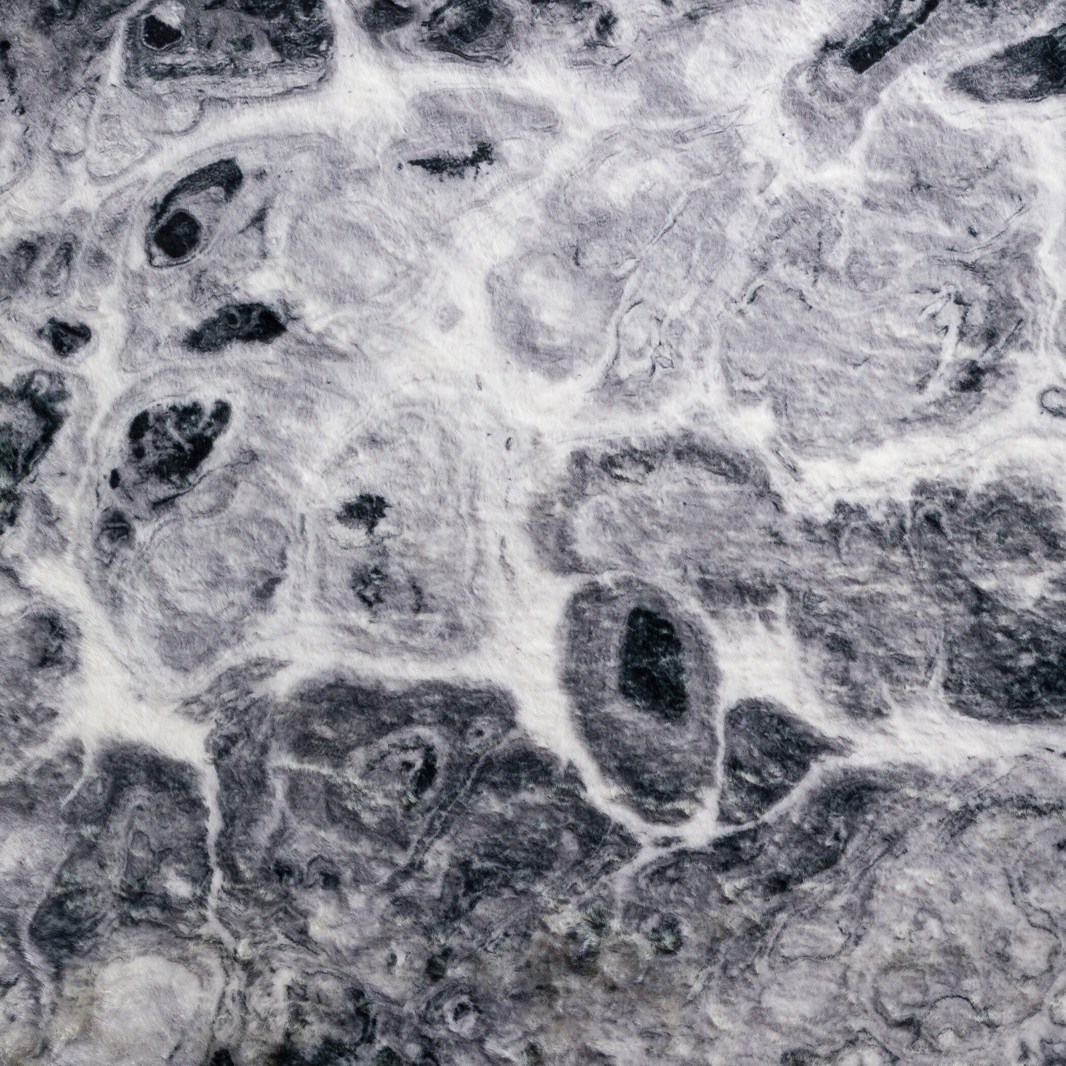 Kikiamo Rug - Image 6