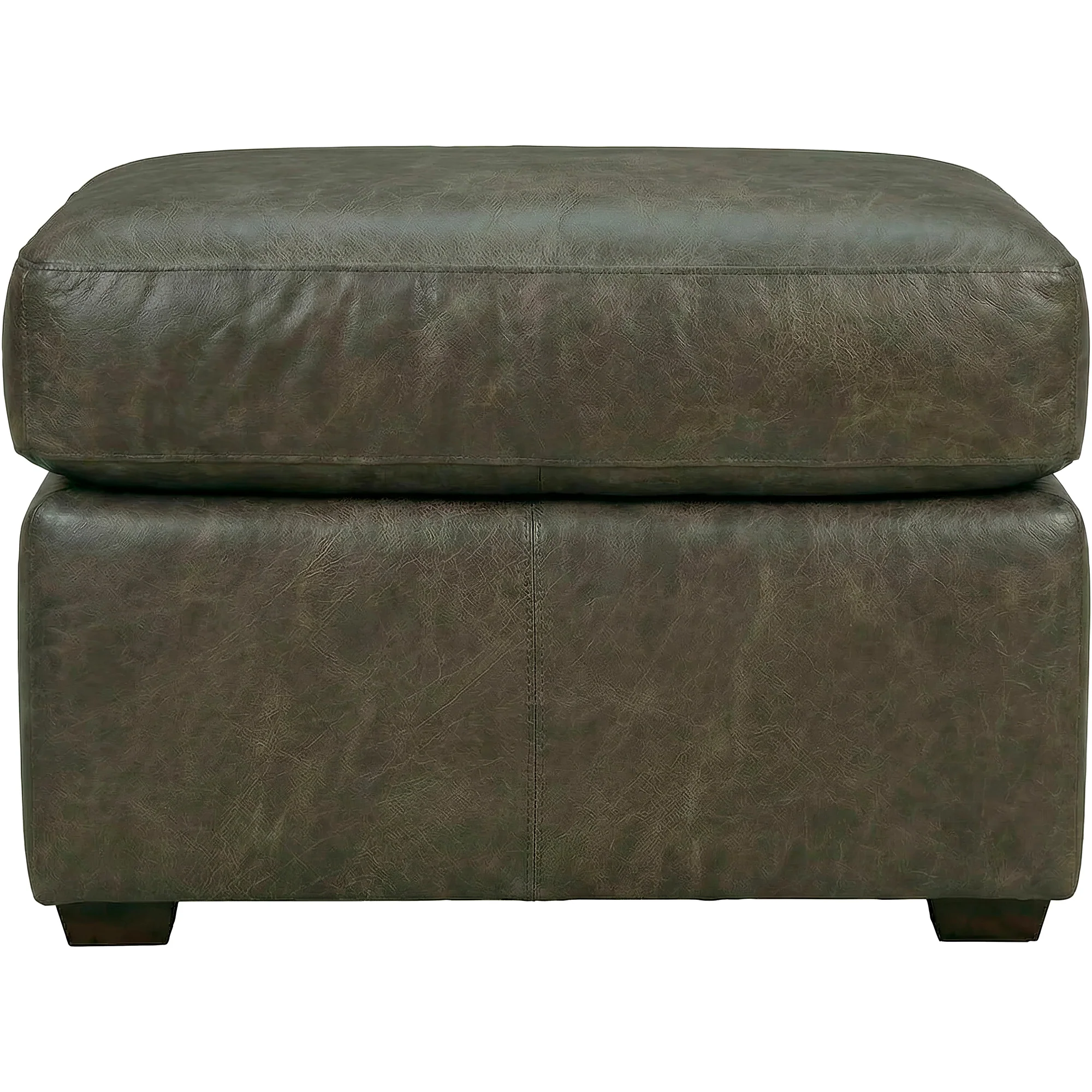 Merritt Feather Blend Leather Ottoman
