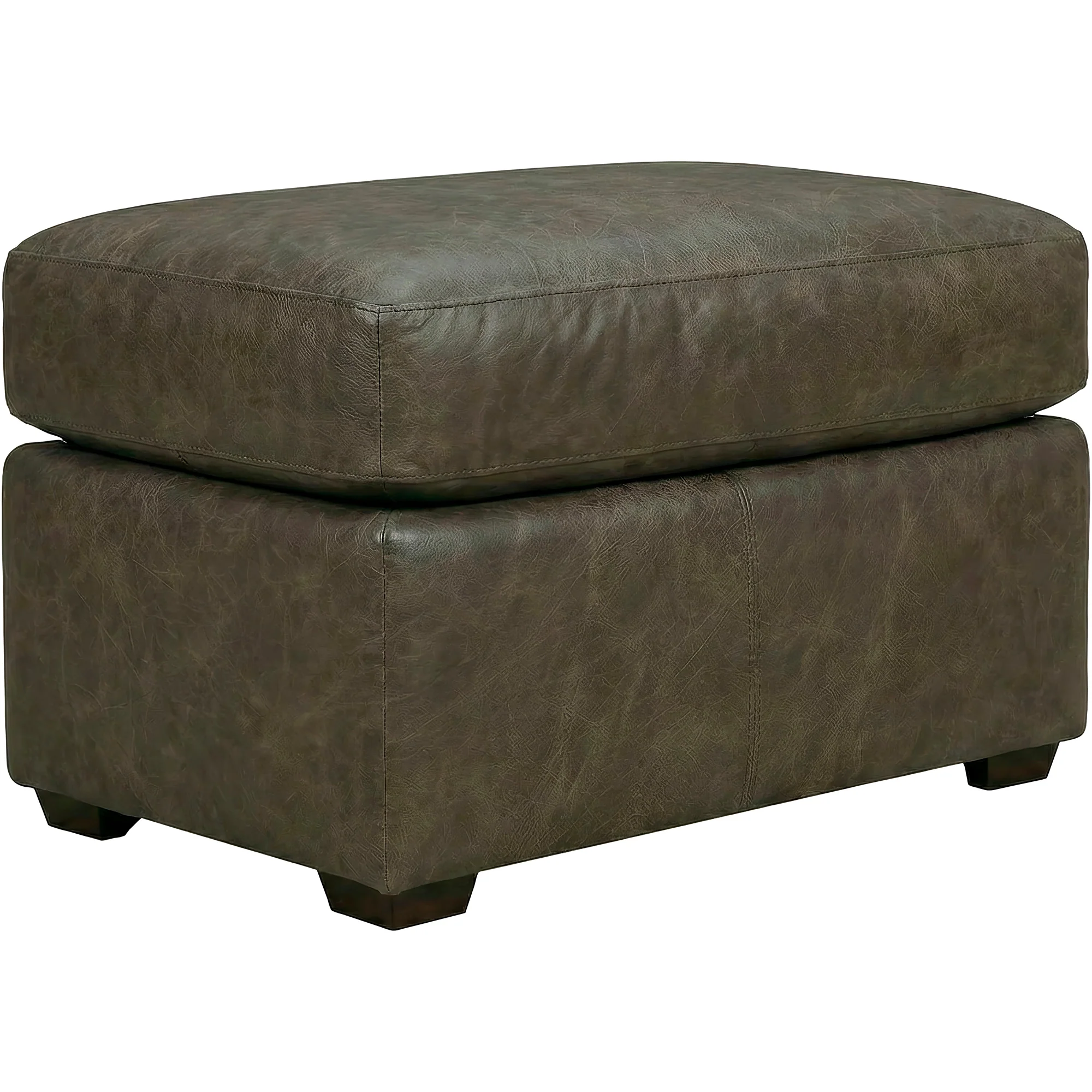 Merritt Feather Blend Leather Ottoman - Image 2