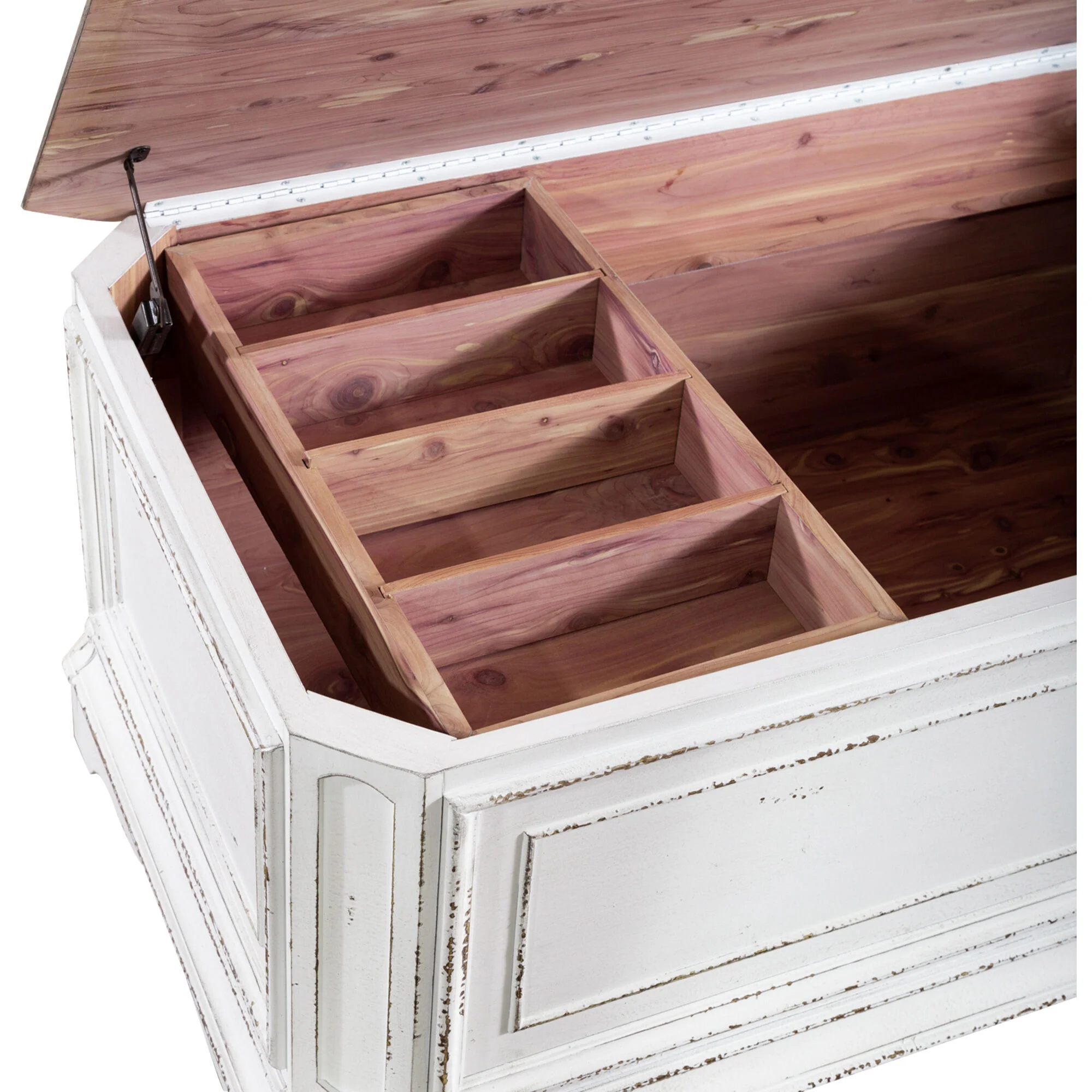 Magnolia Manor Storage Trunk - Image 3