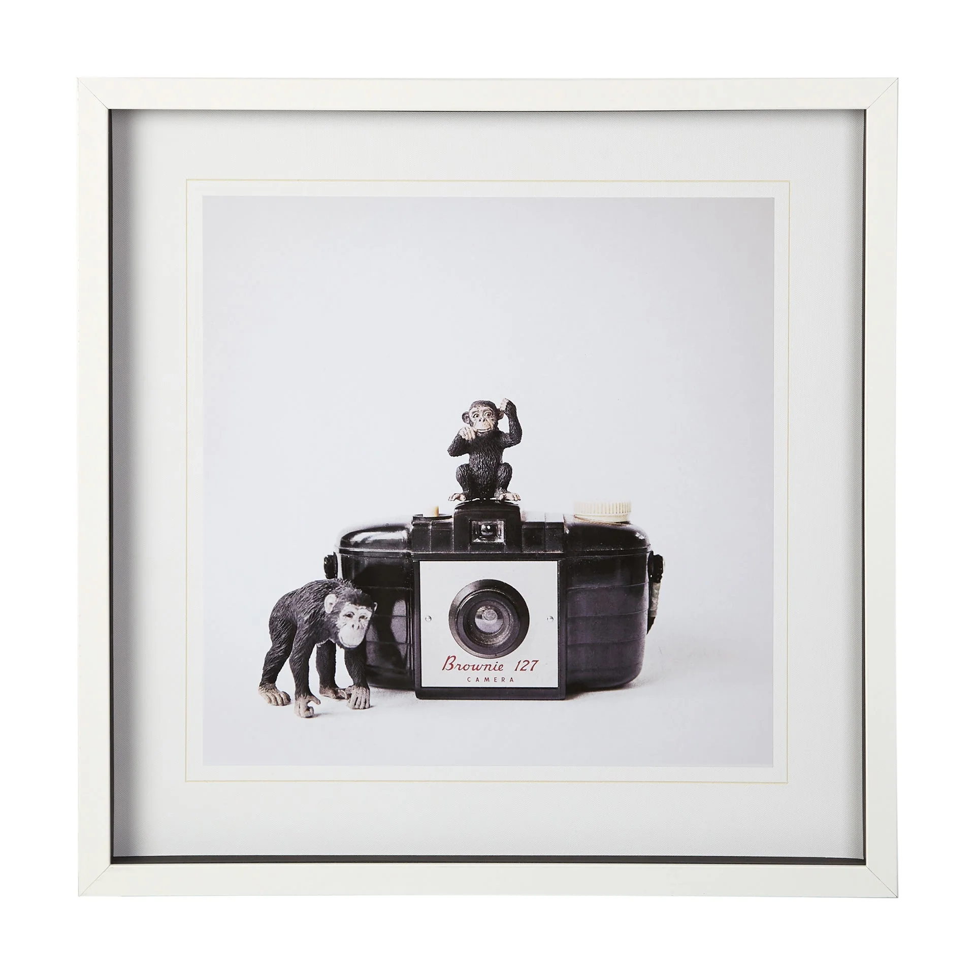 Monkeys Wall Art