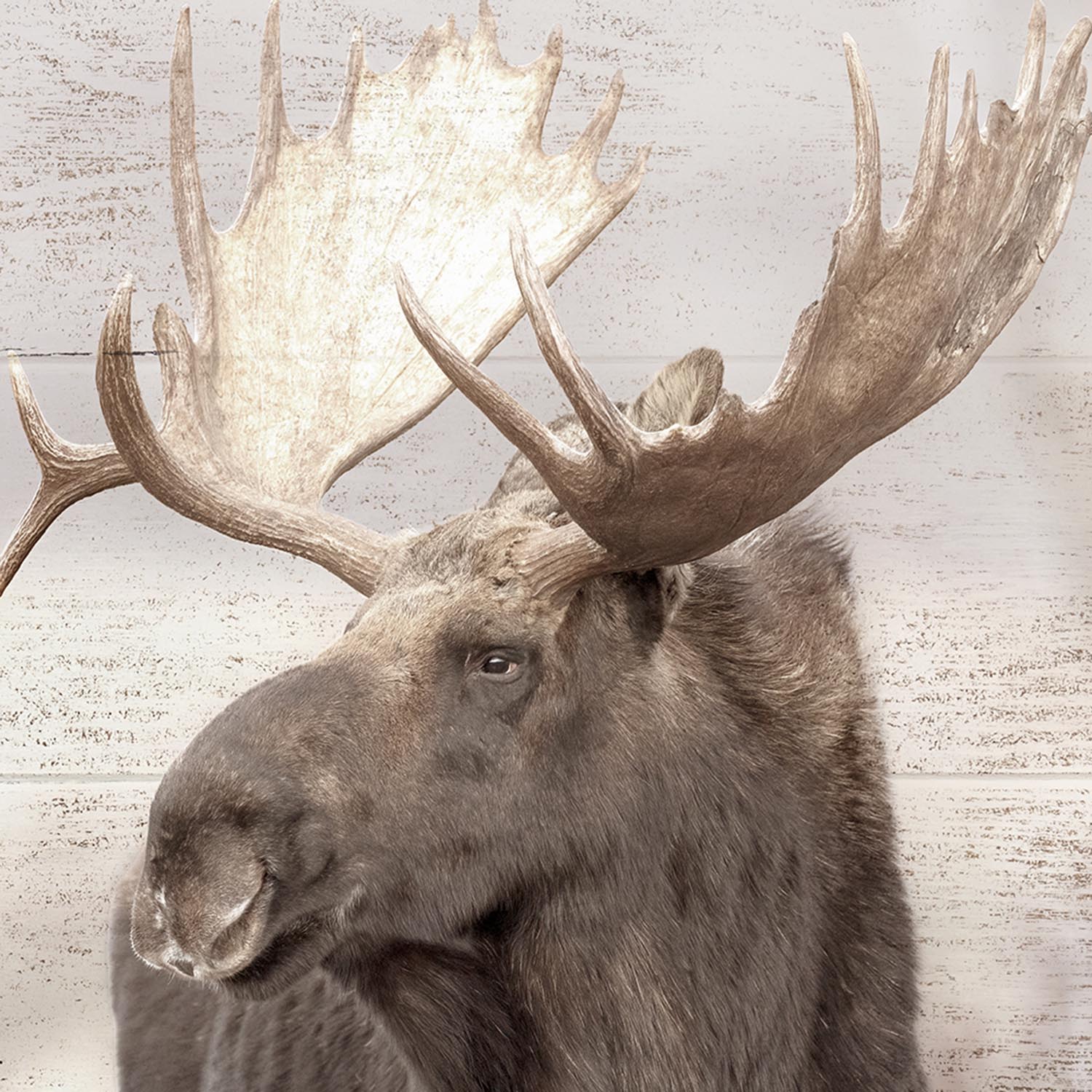 Moose Wall Art - Image 2