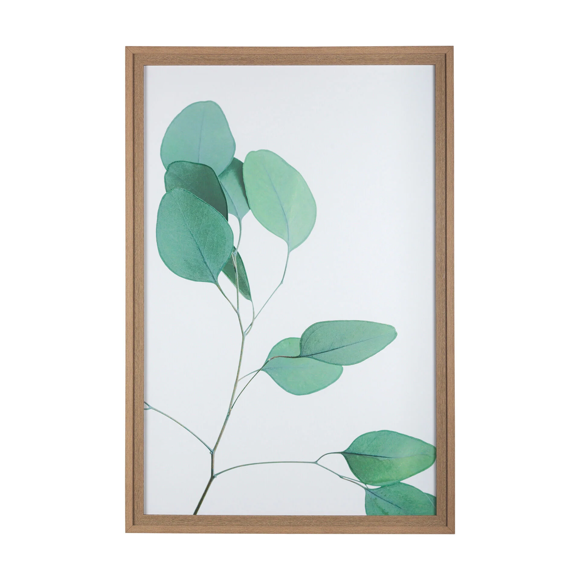 Nature Calm Lull Wall Art