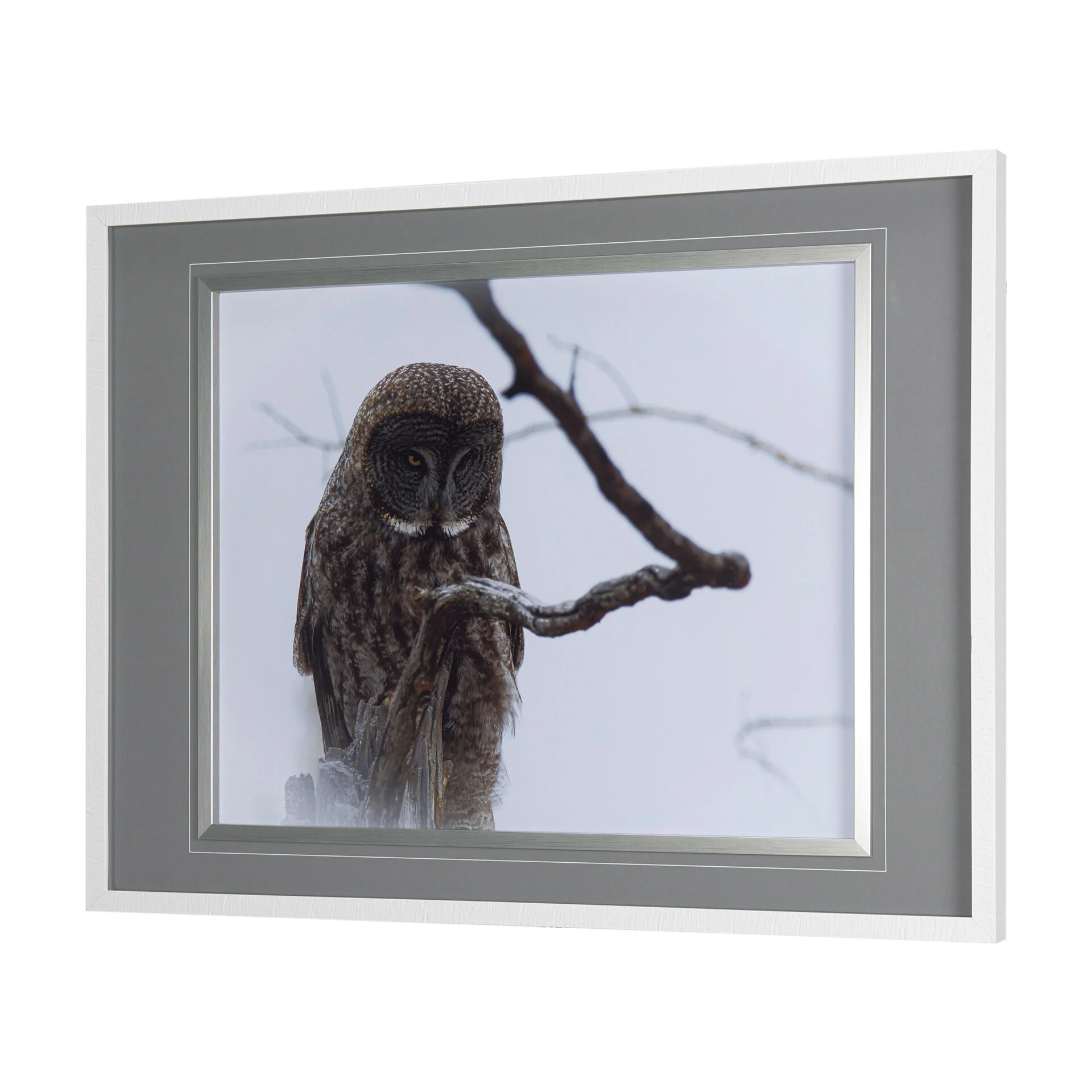 Owl Wall Art - Image 2
