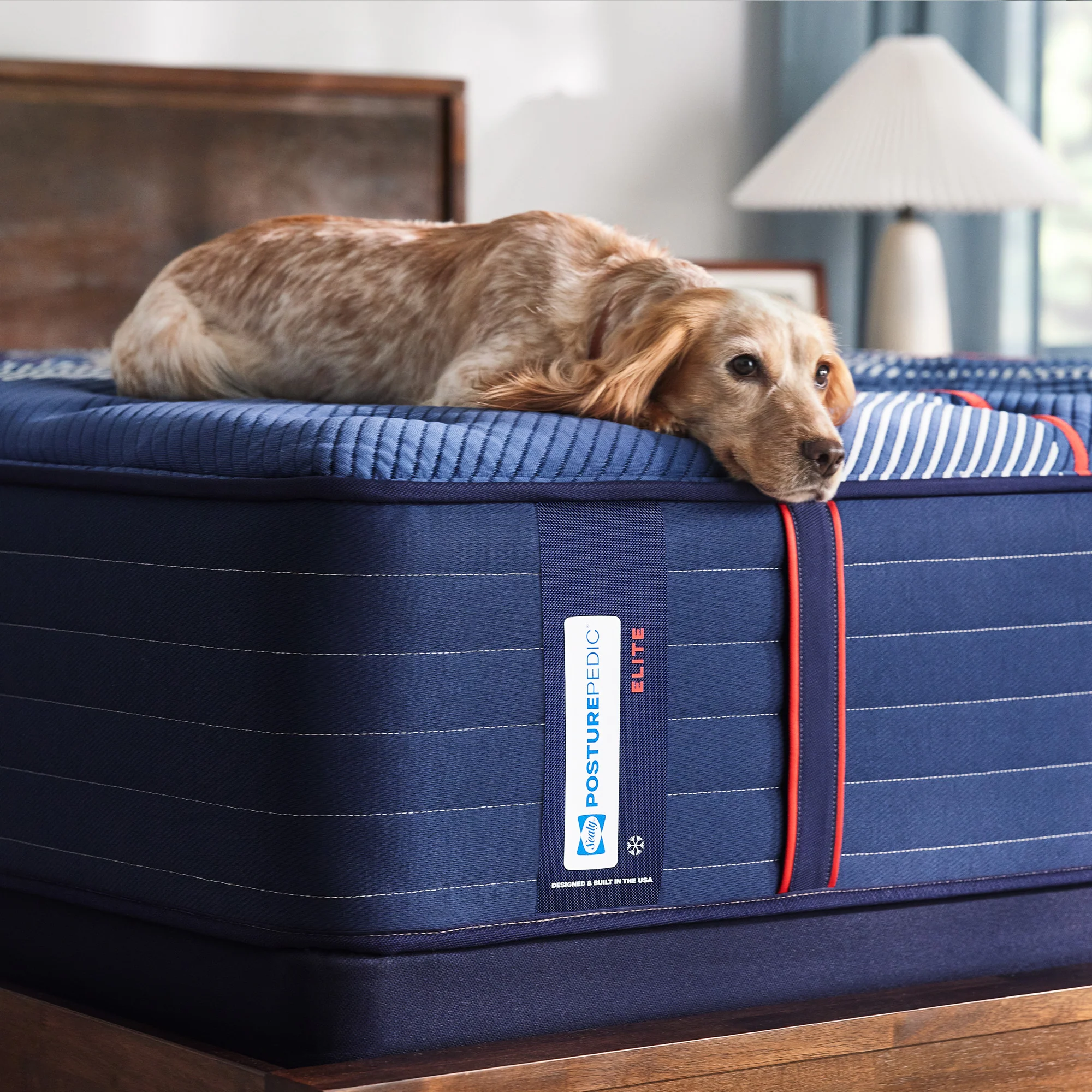 Sealy Posturepedic Elite Albany II Firm Tight Top Mattress - Image 9
