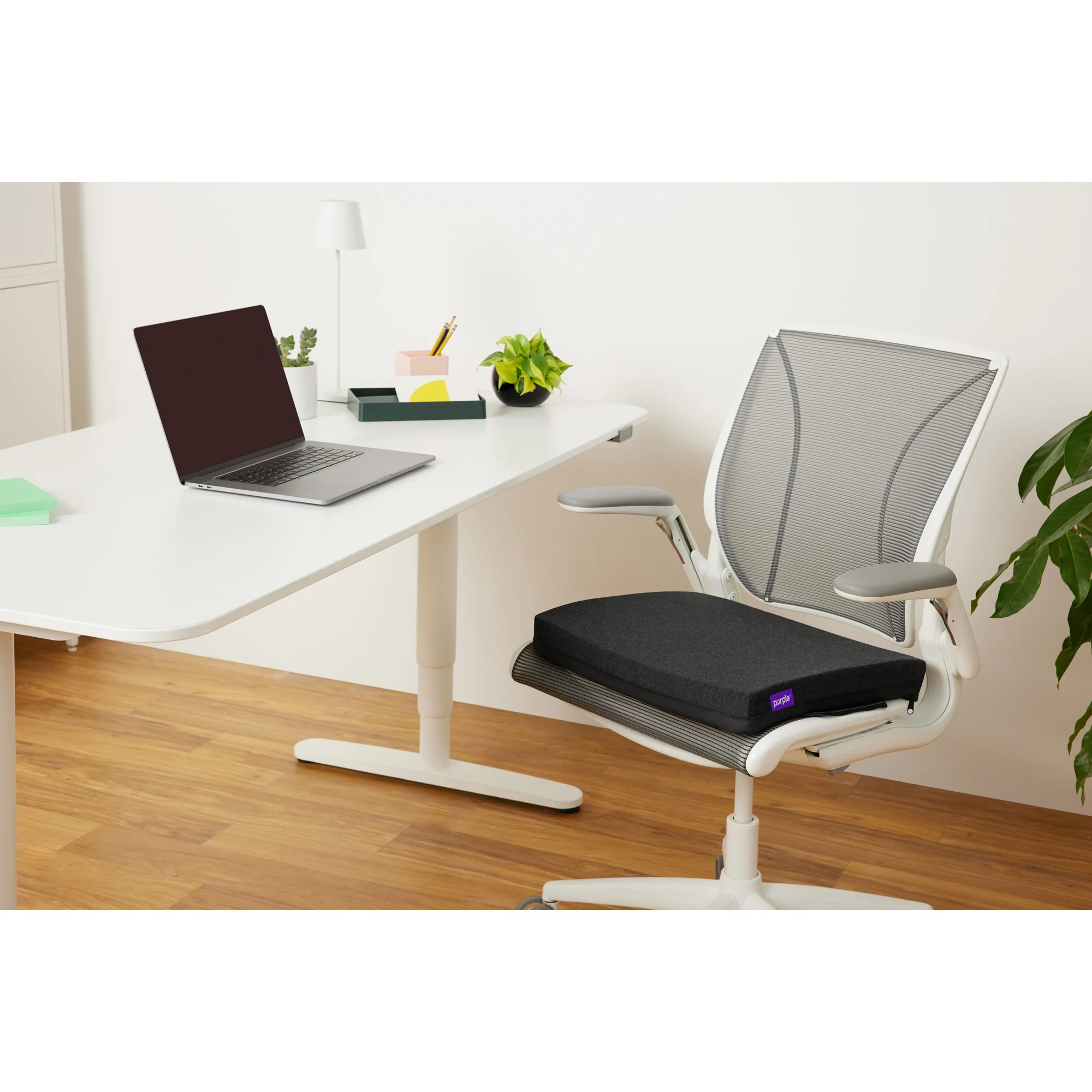 Purple Double Seat Cushion - Image 3