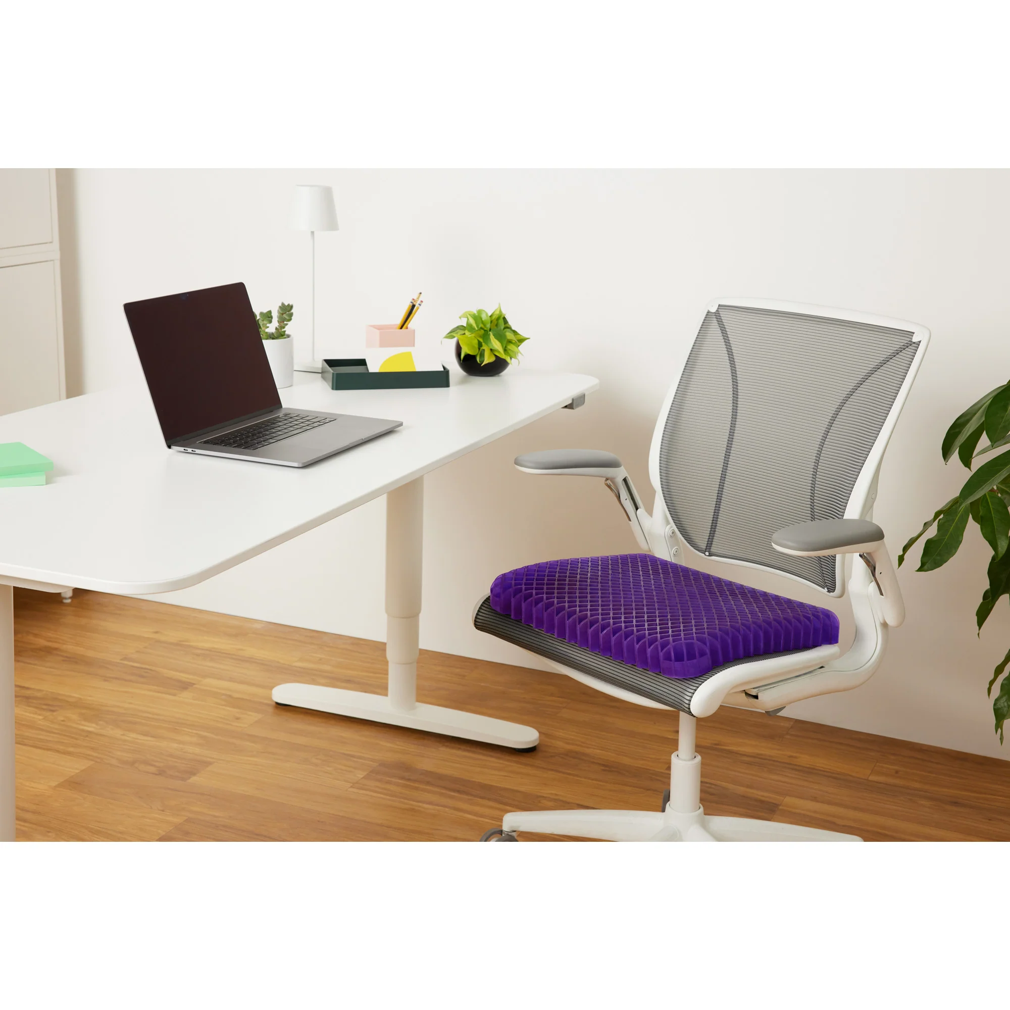 Royal Seat Cushion - Image 3