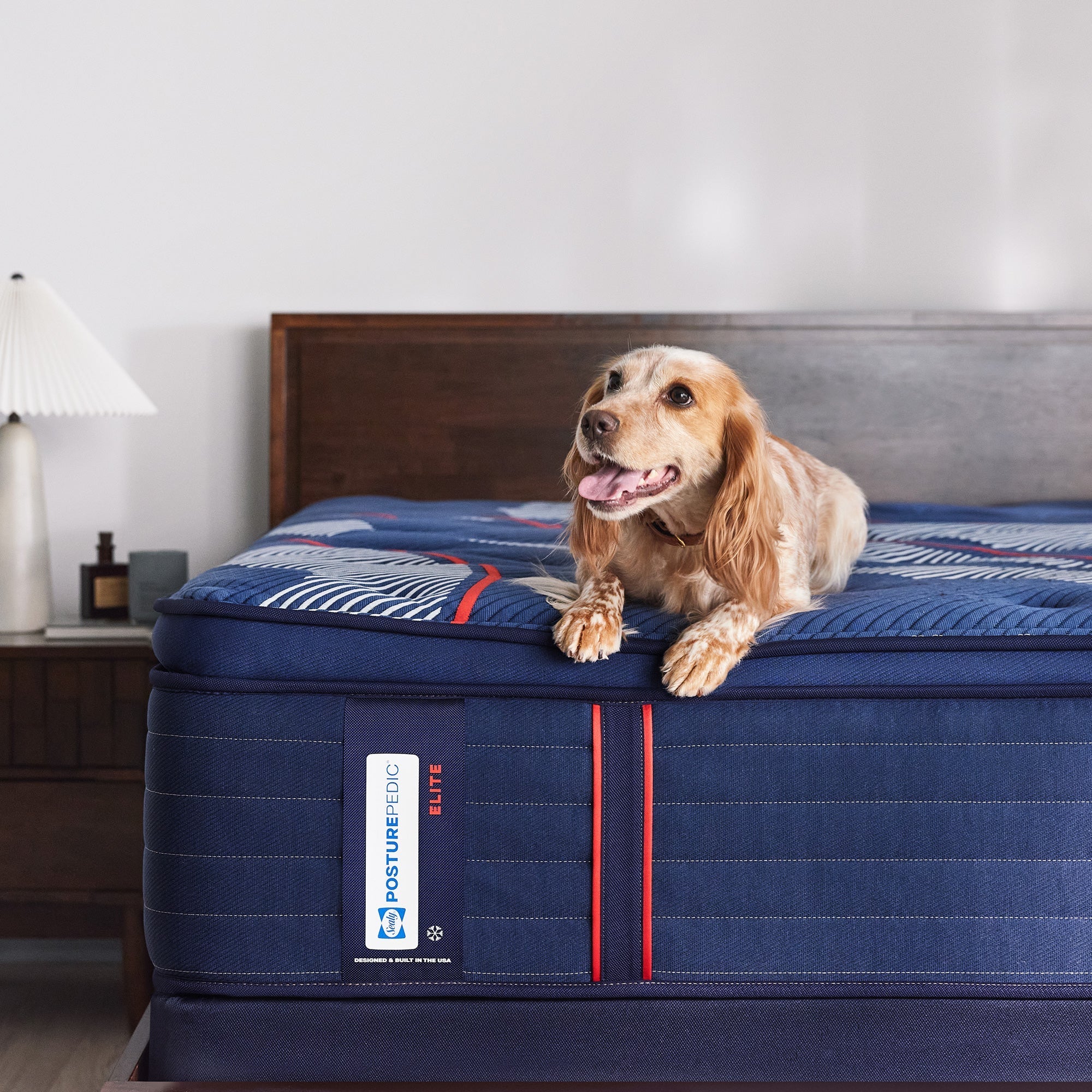 Sealy Posturepedic Elite Albany II Soft Pillowtop Mattress - Image 10