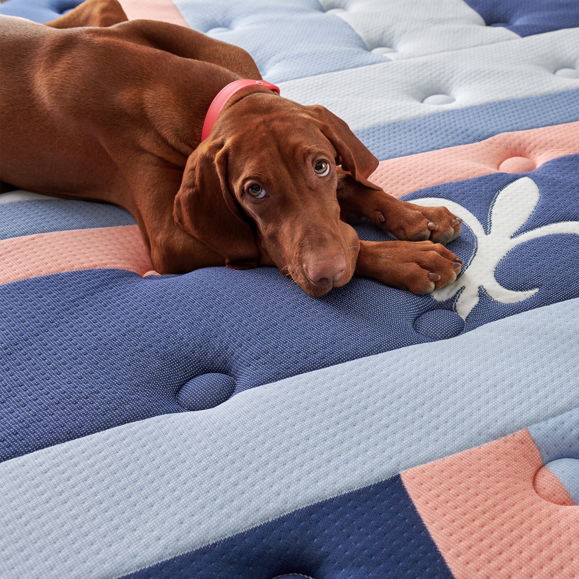 Stearns and Foster Reserve Duet Mattress - Image 3