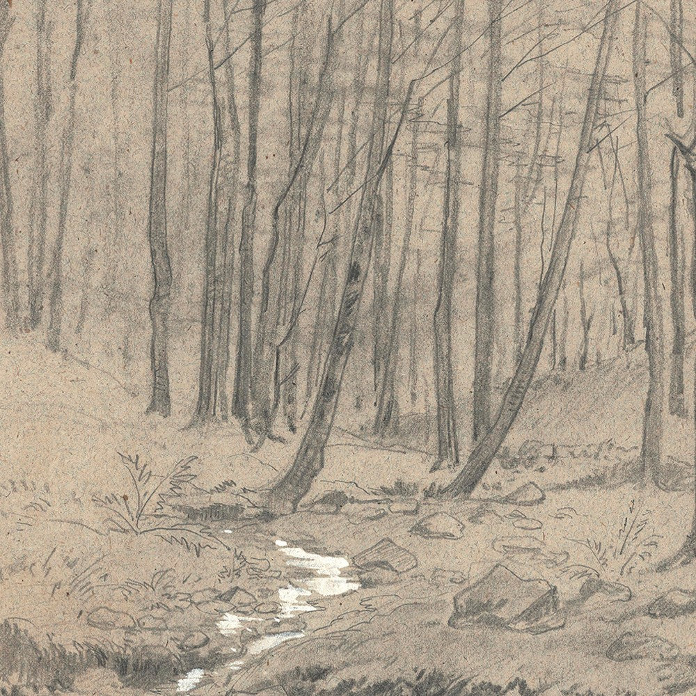 Study of Oak Trunk Wall Art - Image 5