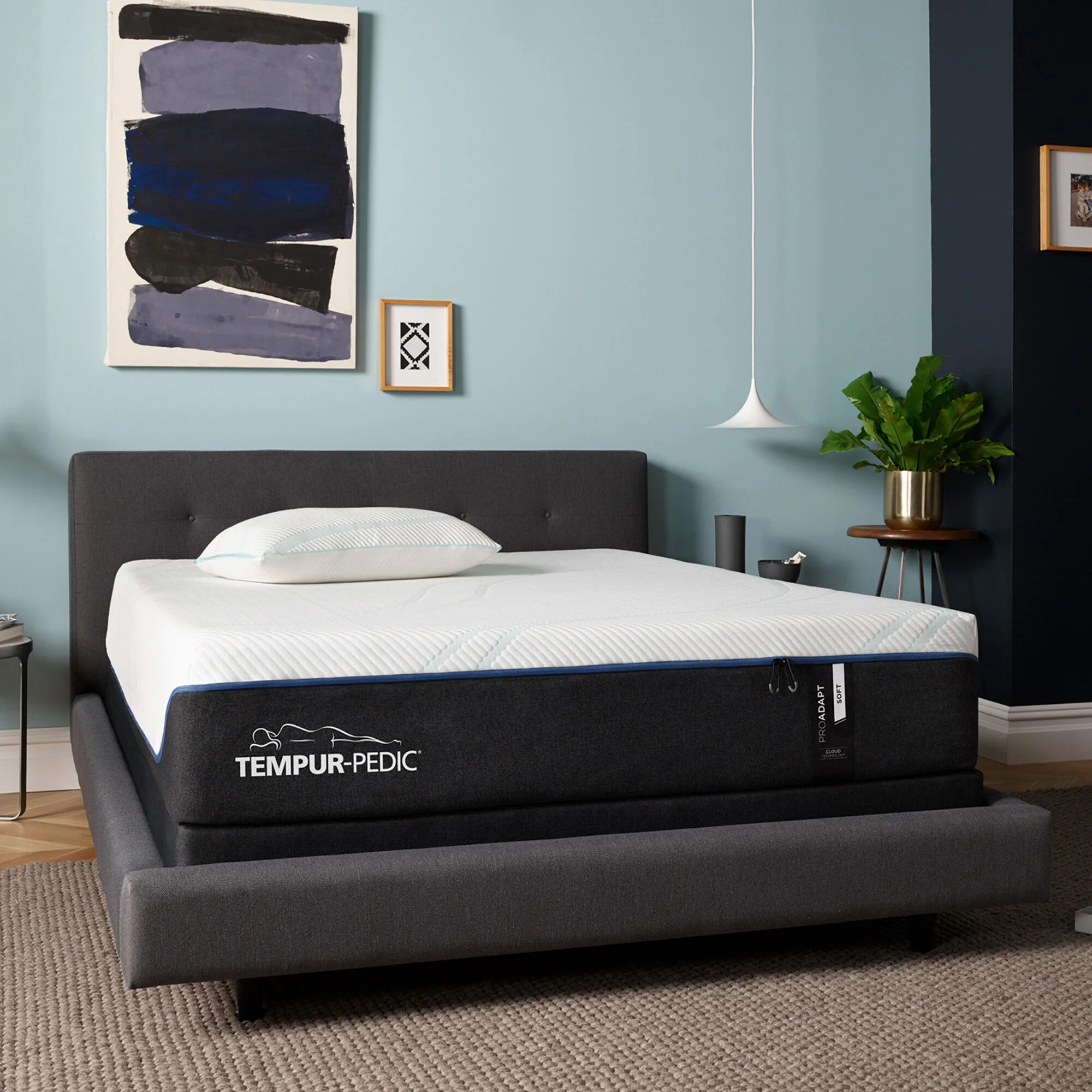 Previous Generation Tempur-Pedic TEMPUR-ProAdapt Soft Mattress - Image 15