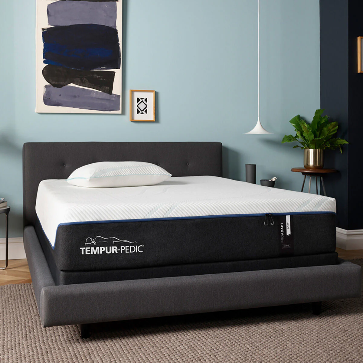 Previous Generation Tempur-Pedic TEMPUR-ProAdapt Soft Mattress - Image 43