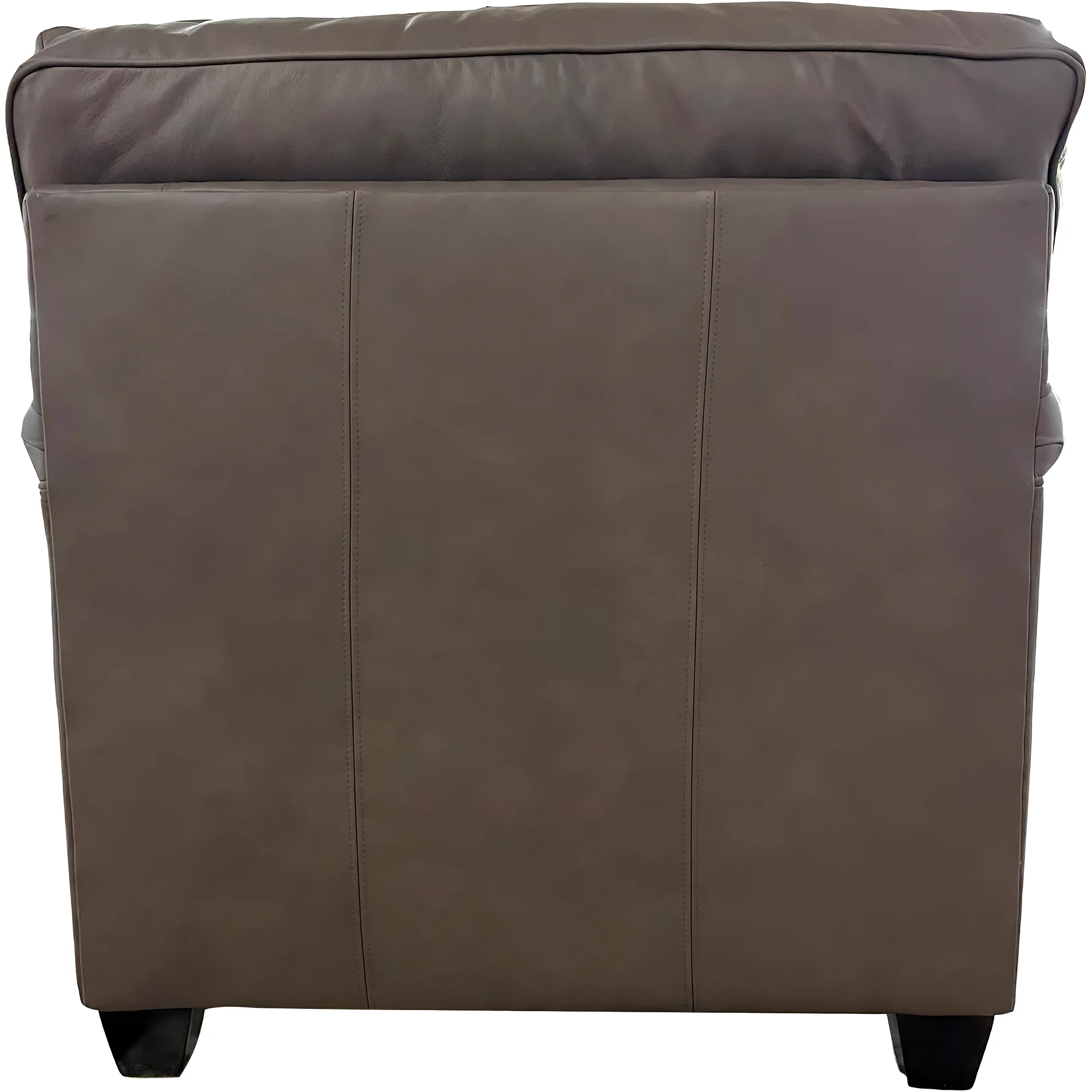 Warren Feather Blend Leather Chair - Image 4