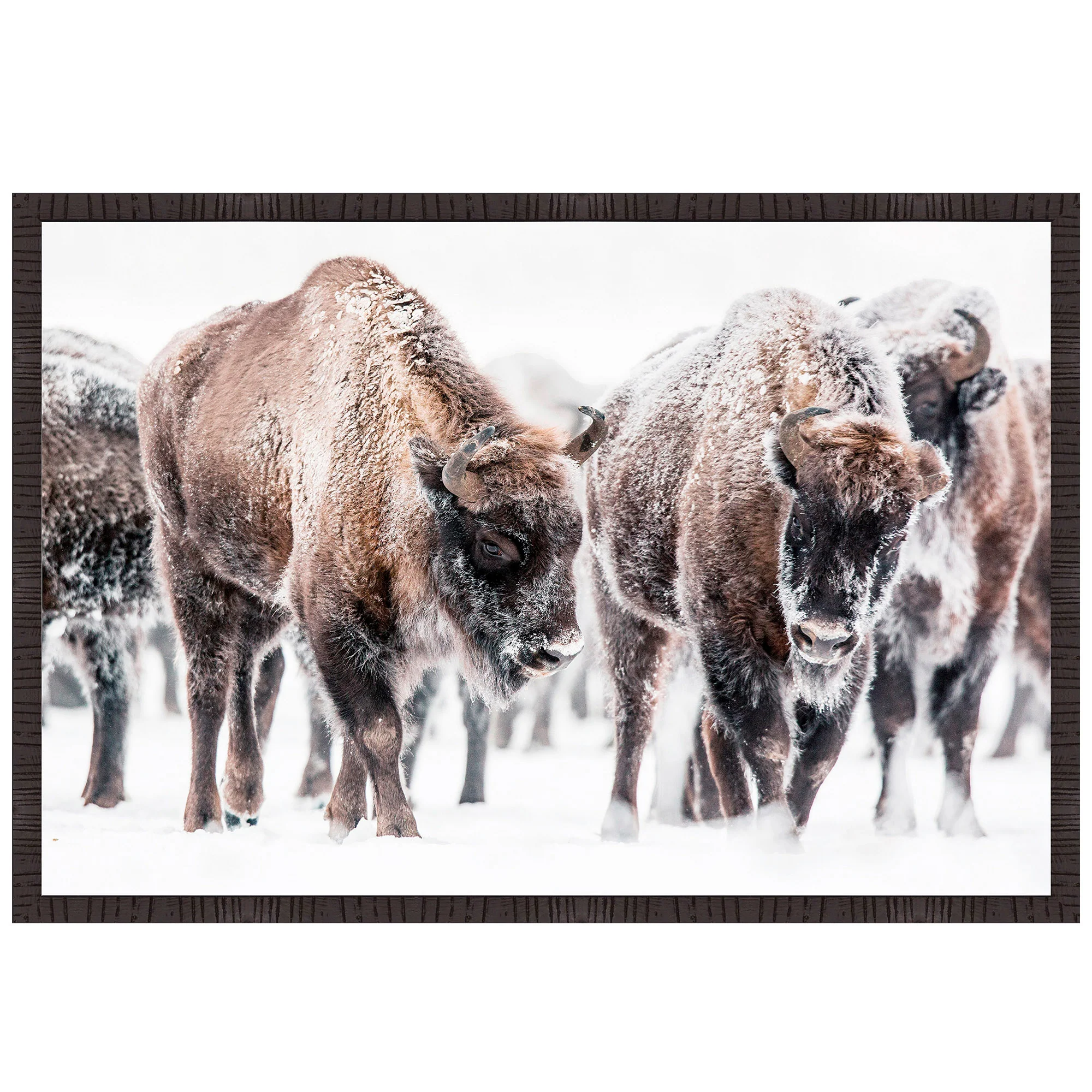 Winter Bison Wall Art